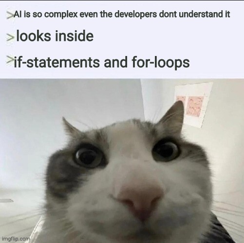 "AI is so complex even the developers dont understand it" "looks inside" "if-statement and for-loops" cat stares down at the camera